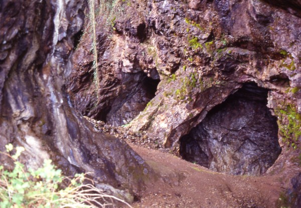 Arqueología en el patio's header image