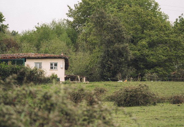 Proyecto Tortuga's header image