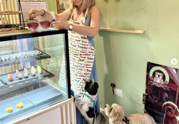 Patas & Ladridos: una máquina para seguir creando galletas naturales para perros's header image