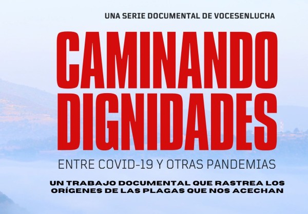 Serie Caminando Dignidades's header image