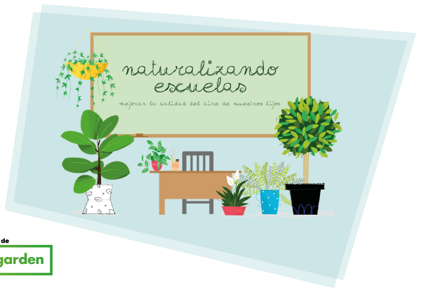 Naturalizando escuelas's header image