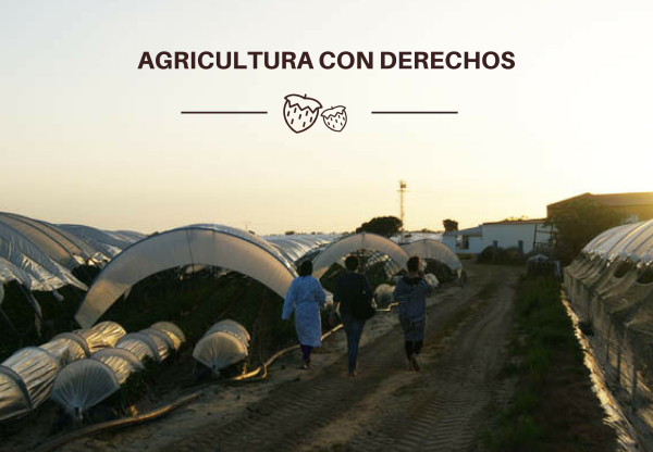 Agricultura con derechos's header image