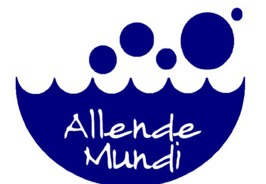 Proyecto Educativo de Allende Mundi 2024's header image