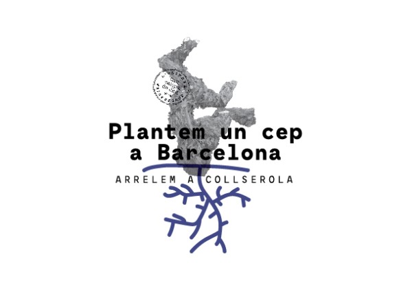 PLANTEM UN CEP A BARCELONA's header image