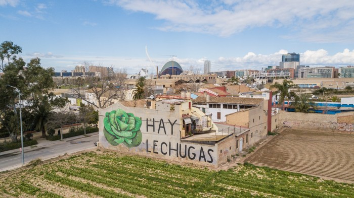 Per l’Horta interposa un recurs contra l’acord de l’Ajuntament de València que pretén continuar les obres de la ZAL