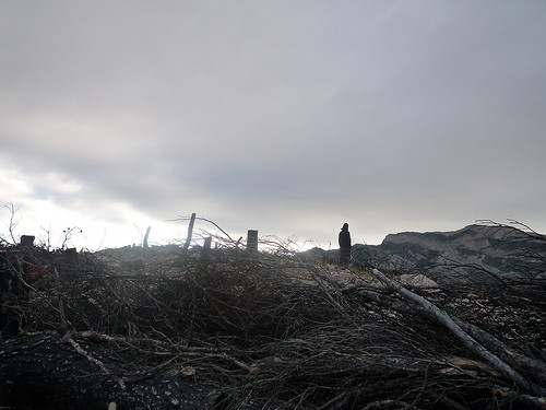 ¿Son los incendios forestales una lotería inevitable?