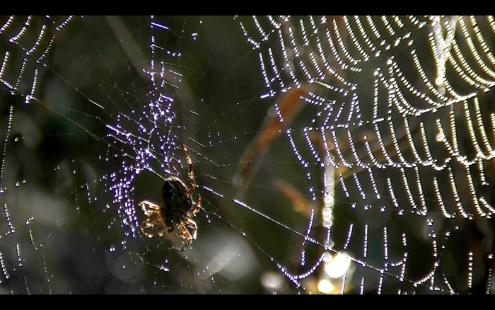 captura-de-pantalla-2013-10-08-a-la-s-11.42.59.png