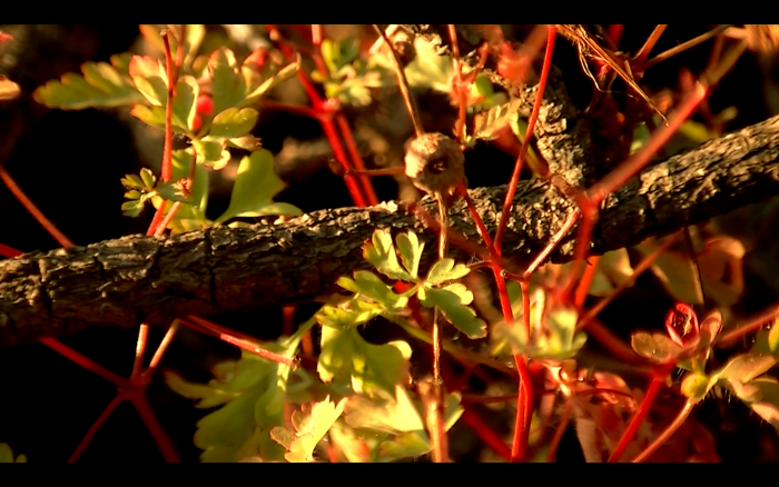 captura-de-pantalla-2013-10-08-a-la-s-13.59.06.png