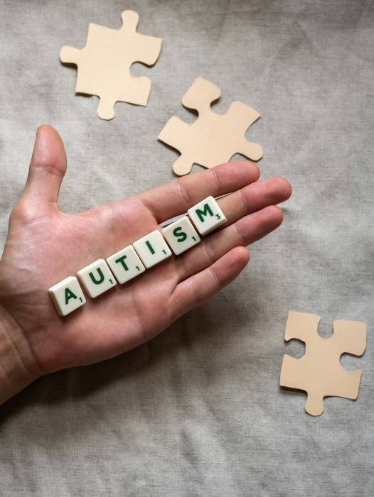 What does “moderate- and low-functioning autism” really mean