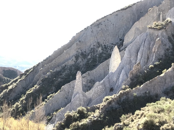 signal-2026-07-04-22-40-08-660-10.jpg