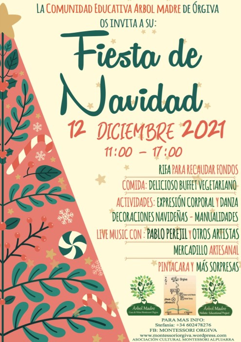 Fiesta de Navidad